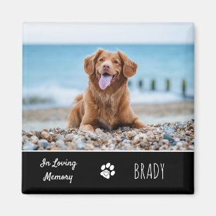 I Loving Memory Keepsaké Pet Hund Memorial Magnet