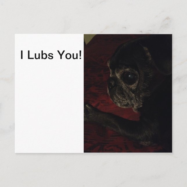 "I Lubs You"-kort Vykort (Framsida)