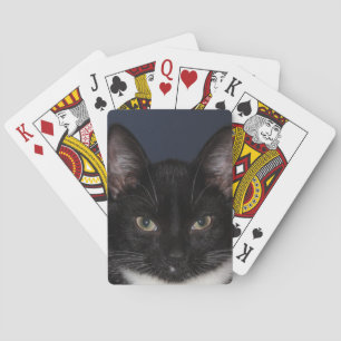 I LUV CATZ SPEL KORT