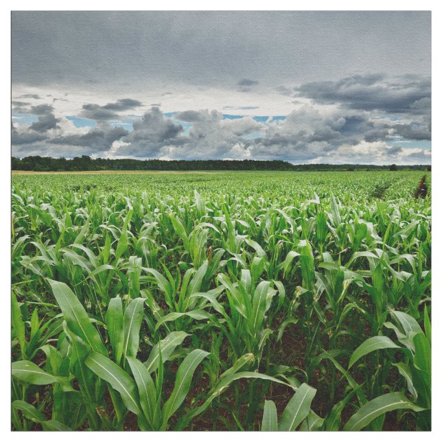 I majfält tyg (Provkarta)