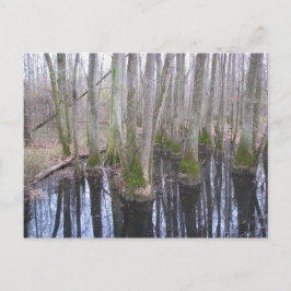 i marken där maken vykort