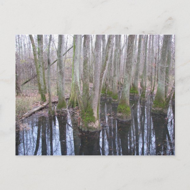 i marken där maken vykort (Framsida)