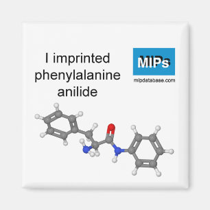 I märkta fenylalaninanilidmagnet magnet