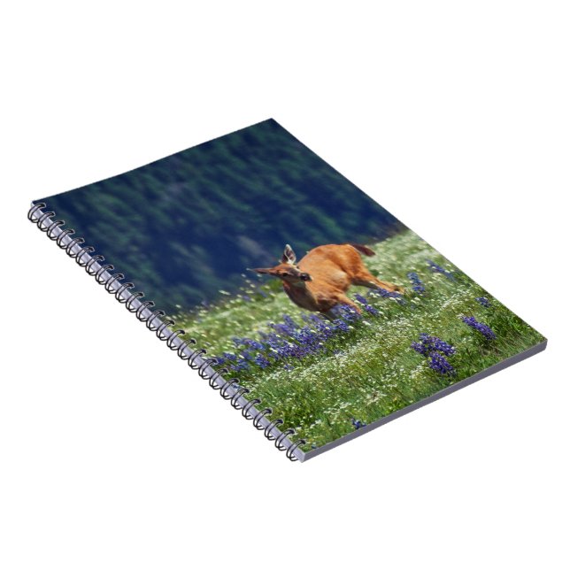I Meadow Anteckningsbok Med Spiral (Högra Sidan)