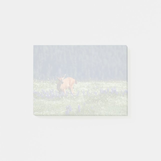 I Meadow Post-it Block (Framsida)