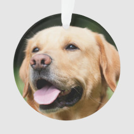 I minne - Anpassningsbar minnessmycke för Golden L