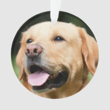 I minne - anpassningsbart minnesmärke för Golden L