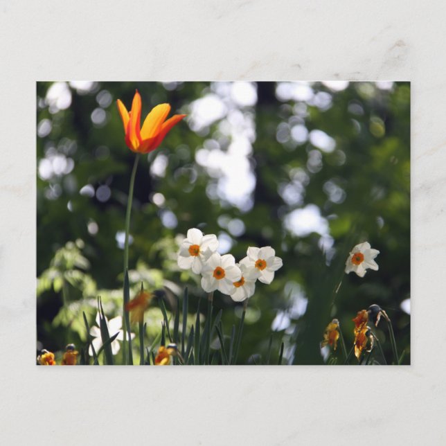 I minnet vykort (Framsida)