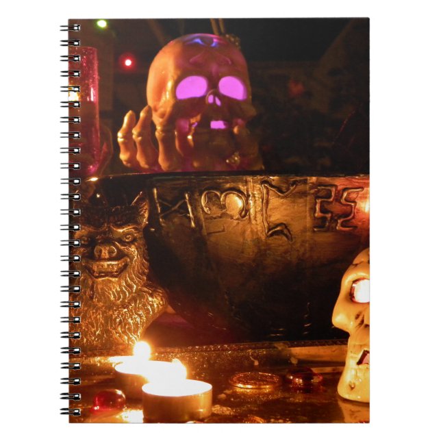 I mörkret anteckningsbok med spiral (Framsidan)