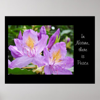 I Naturen finns det konsttryck av fred Floral Rhod Poster