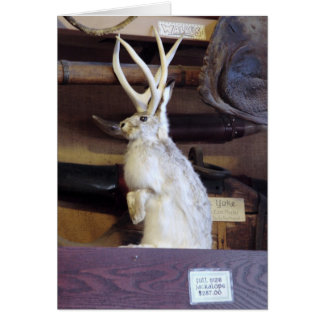 I naturlig storlek Jackalope $287,00 Hälsningskort