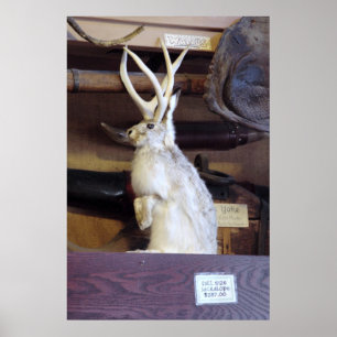 I naturlig storlek Jackalope $287,00 Poster