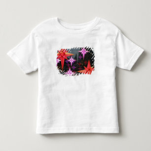 I New York City. Juldekorationinsida T-shirt