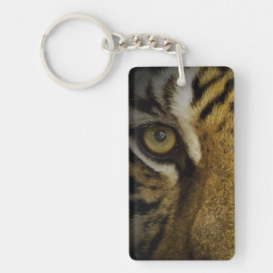 I Öga i en tiger