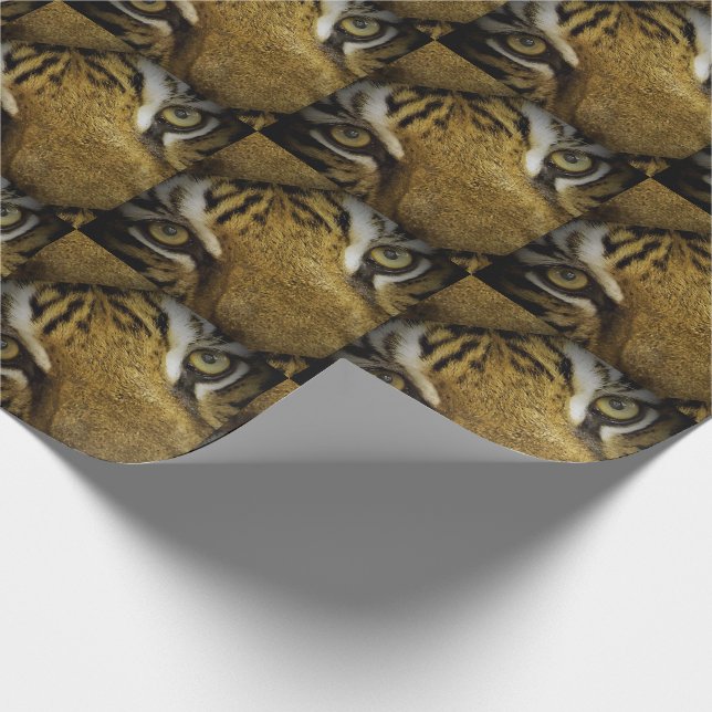 I Ögon i en tiger Presentpapper (Hörn)