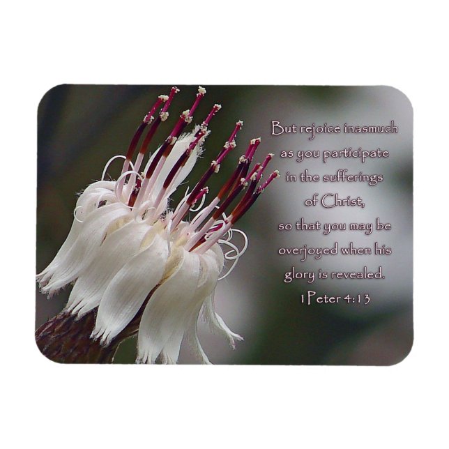 I Peter 4:13, inspirationell Blommigt Magnet (Horisontell)