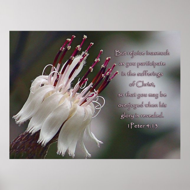 I Peter 4:13, inspirationell Blommigt Poster (Framsidan)