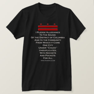 I Pledge Allegitityd T-shirt