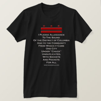 I Pledge Allegitityd T-shirt