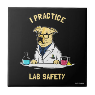 I Practice Lab Safety Kakelplatta