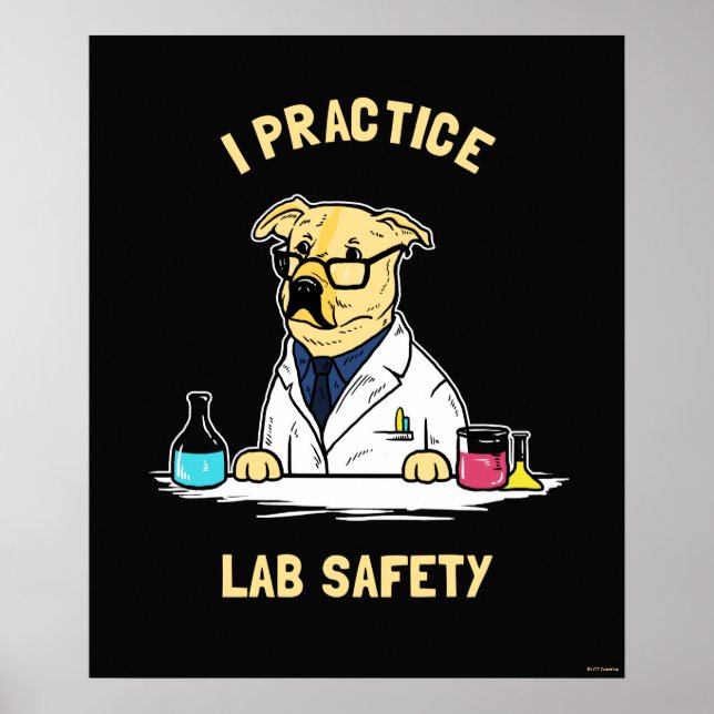 I Practice Lab Safety Poster (Framsidan)