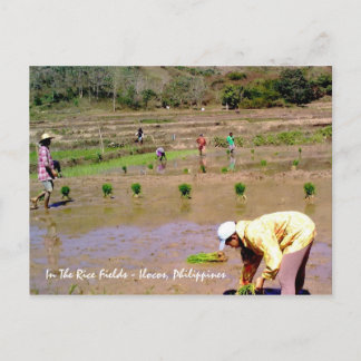 I Ris - Ilocos, Filippinerna vykort