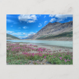 I Rocky mountains av banff Vykort