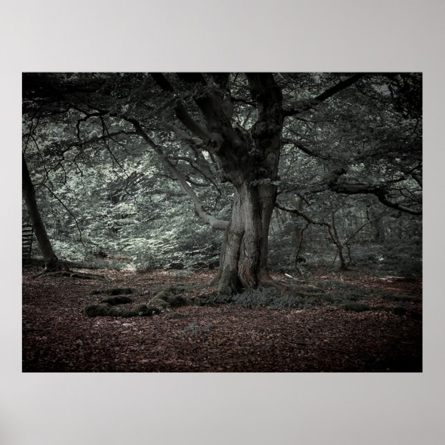 I sagda skog poster (Framsidan)