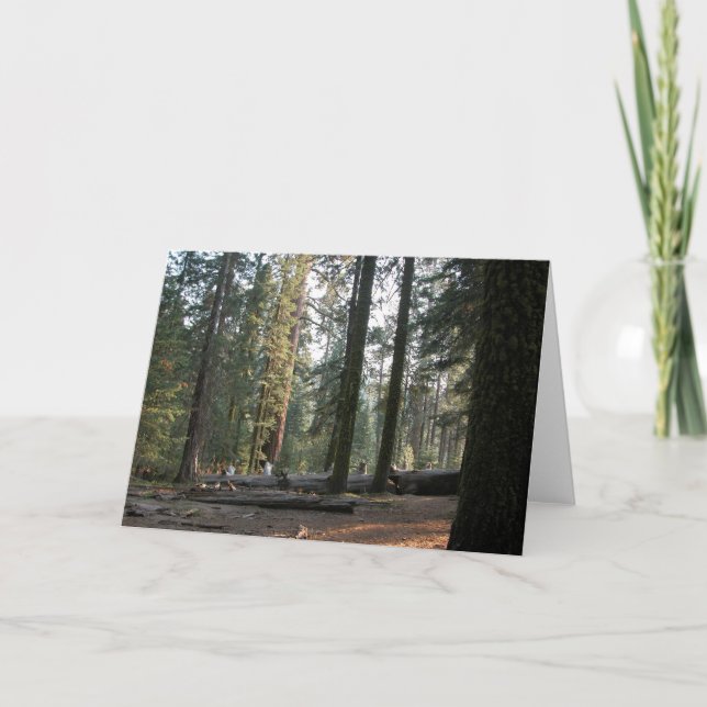 I Sierran Neveda Kort (Framsida)