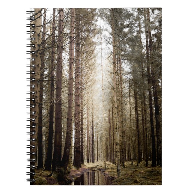 I SKOGEN ANTECKNINGSBOK (Framsidan)