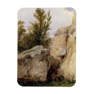I skogen av Fontainebleau c.1825 (olja kan på Magnet