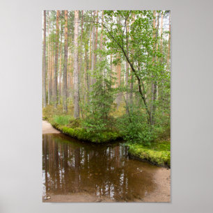 I skogen efter regnet poster