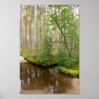 I skogen efter regnet poster