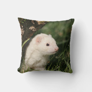 I skogen. Ferret Kudde