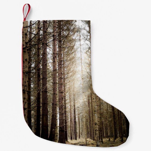 I SKOGEN LITEN JULSTRUMPA (Framsidan)