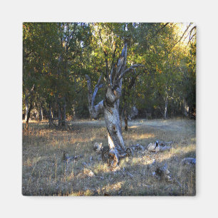 I skogen... magnet