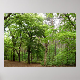 I skogen poster