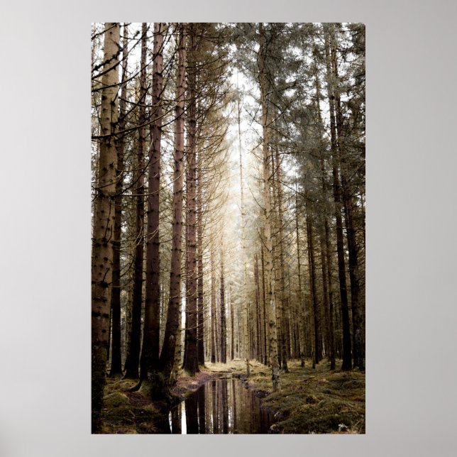 I SKOGEN POSTER (Framsidan)