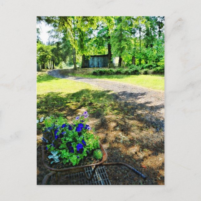 I skogen vykort (Framsida)