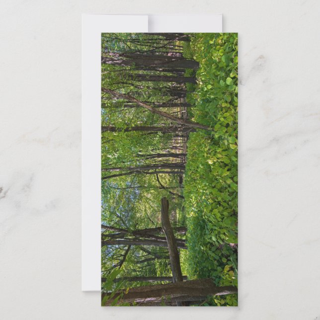 i skogsområdet vid fort i avverkningsparken tack kort (Framsida)