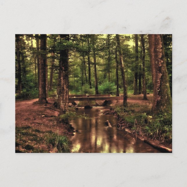 I skogvykortet vykort (Framsida)