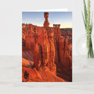 I skugga av jättar kort