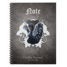 I skuggan av elegans: Ett svart svan.