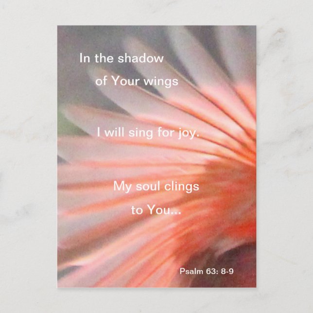 I skuggan av hans vinge vykort (Framsida)