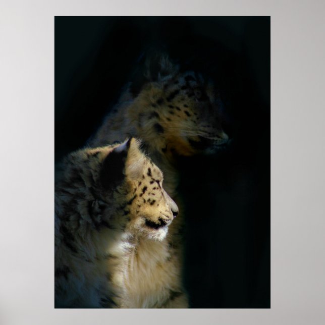 I skuggorna poster (Framsidan)