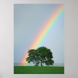 I slutet av regnbågen.. poster