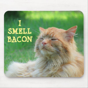 I Smell Bacon Big Orange Cat Musmatta