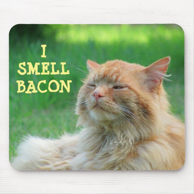 I Smell Bacon Big Orange Cat Musmatta (Framsidan)