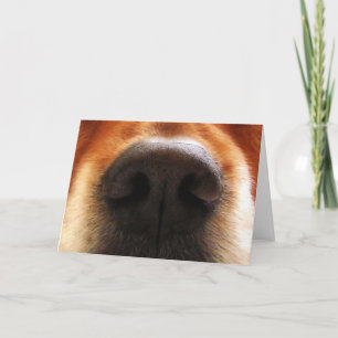 I Smell Cake, Hund Snout, födelsedagshälsningskort Kort