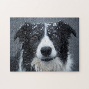 I SNÖ HUND PUSSEL